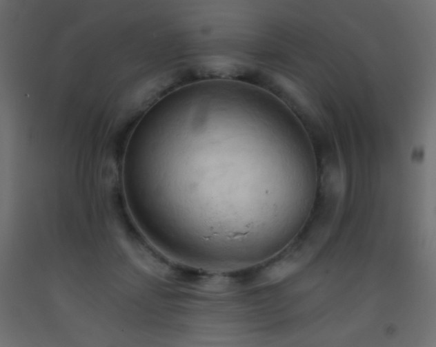 X0000093380459200710111459
