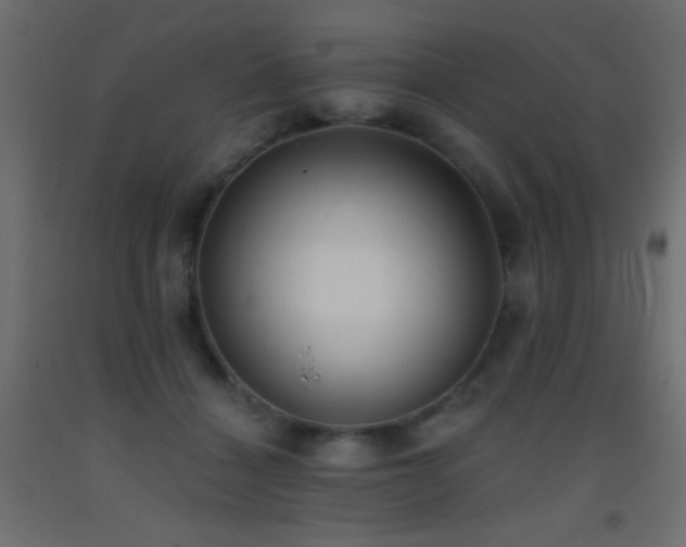 X0000093380460200710111459
