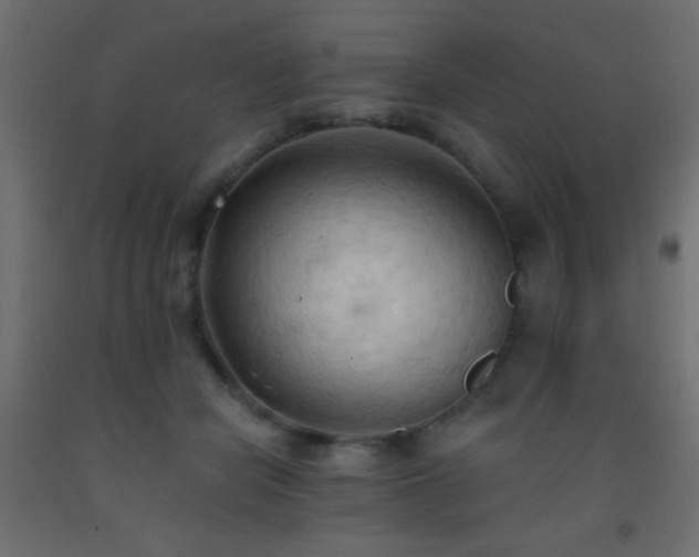 X0000093380462200710111459