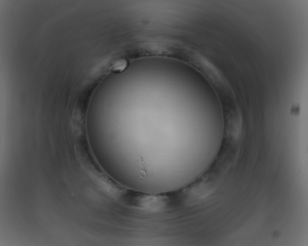 X0000093380465200710111459