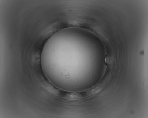 X0000093380466200710111459