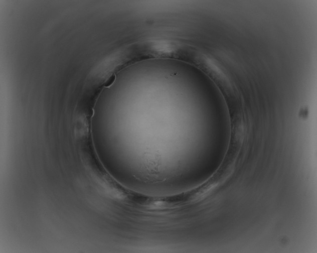 X0000093380467200710111459