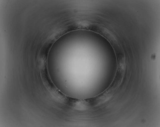 X0000093380468200710111459
