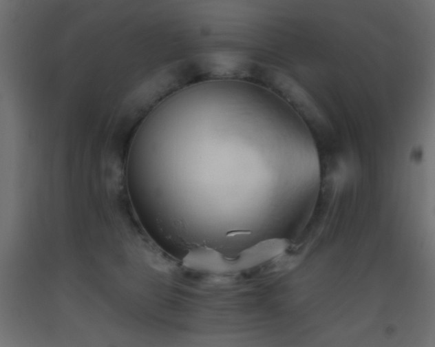 X0000093380469200710111459