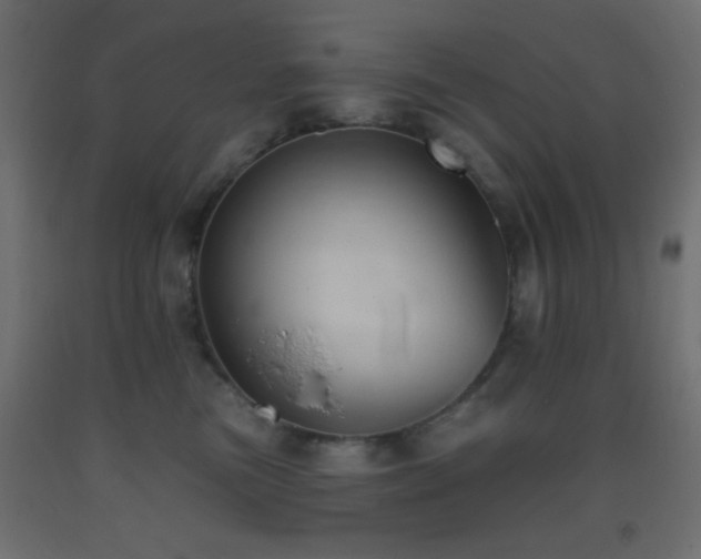 X0000093380473200710111459