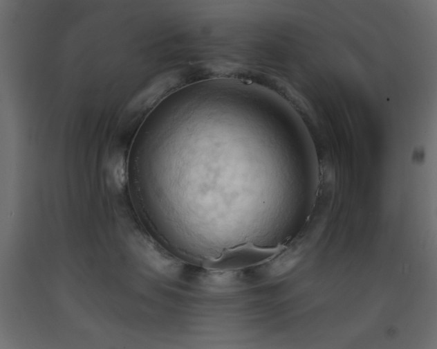 X0000093380479200710111459