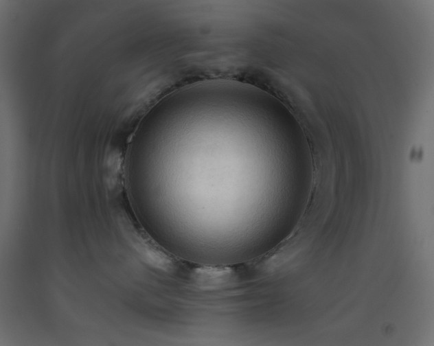 X0000093380480200710111459
