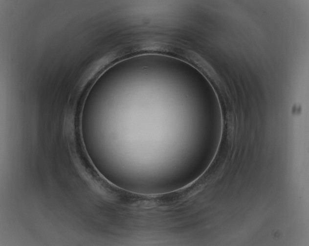 X0000093380482200710111459