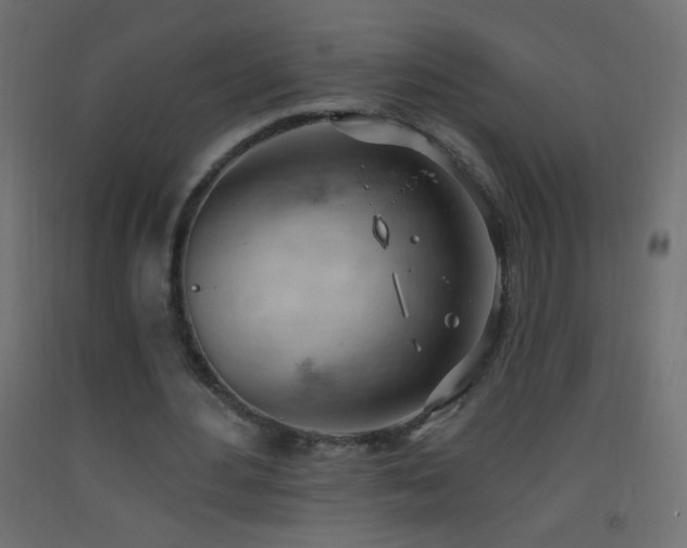 X0000093380484200710111459