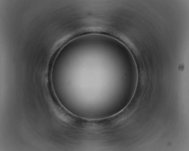 X0000093380486200710111459