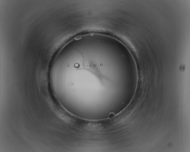 X0000093380487200710111459