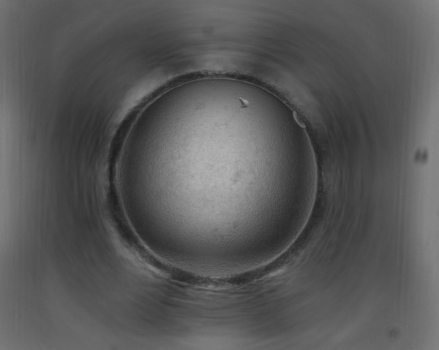 X0000093380488200710111459