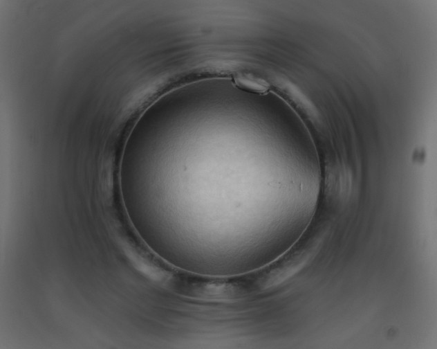 X0000093380493200710111458