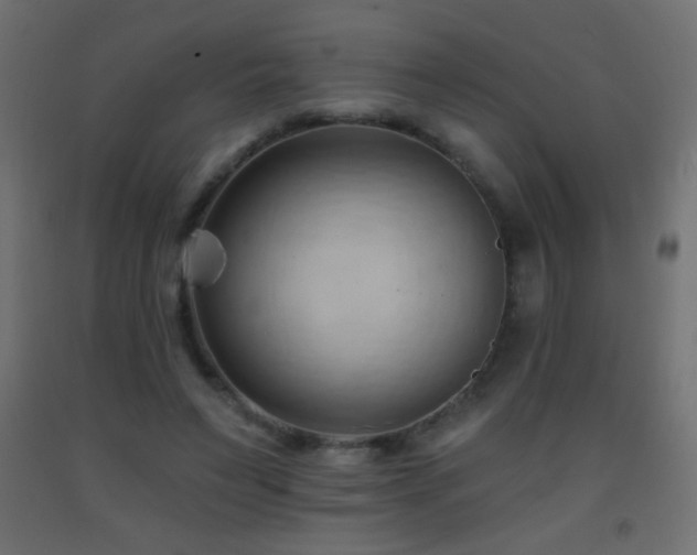 X0000093380495200710111458