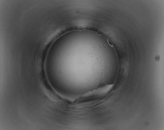 X0000093380496200710111458