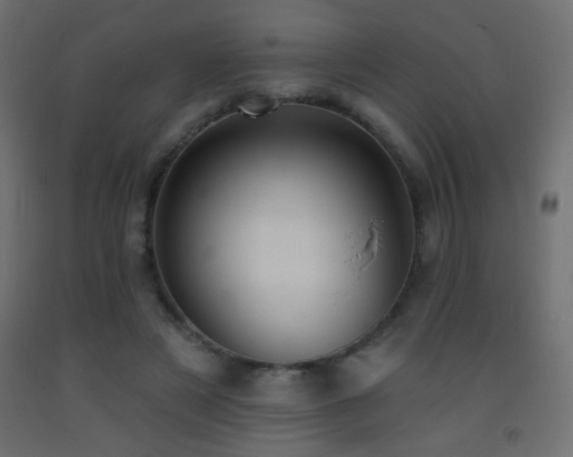 X0000093380497200710111458