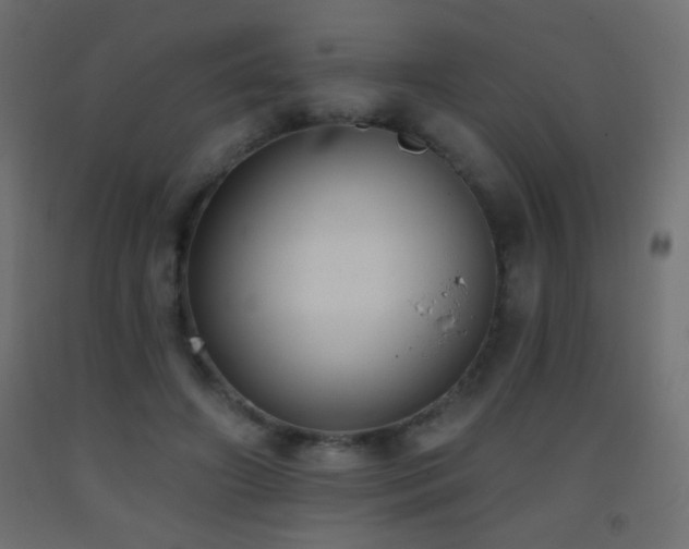 X0000093380498200710111458