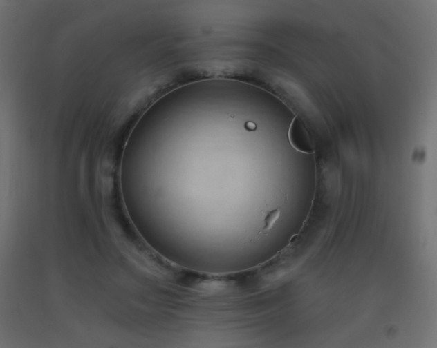 X0000093380499200710111458