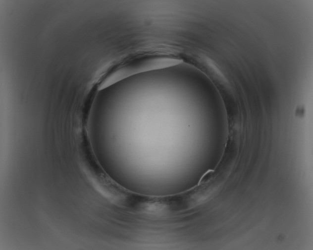X0000093380500200710111458