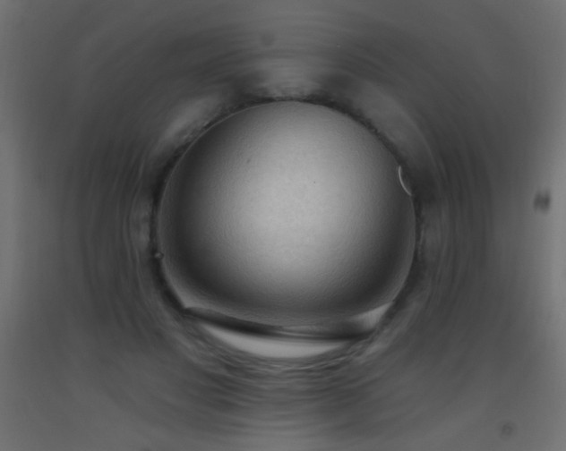 X0000093380501200710111458
