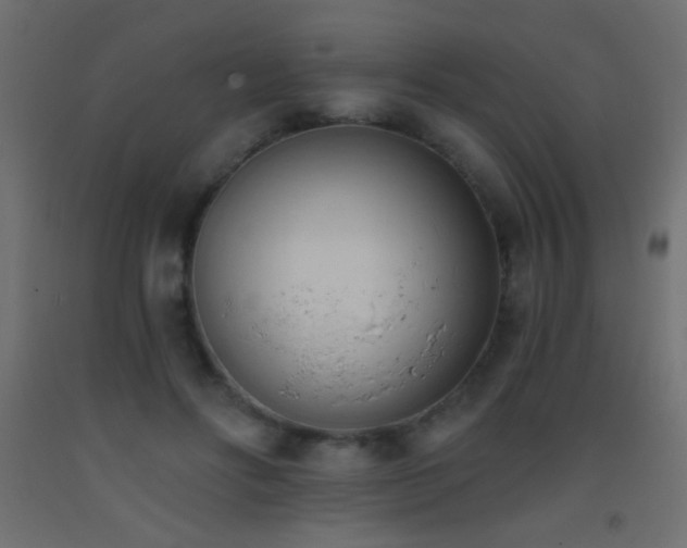 X0000093380502200710111458