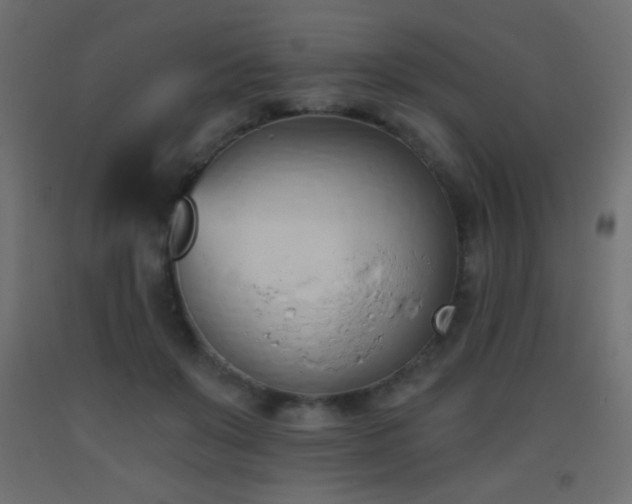 X0000093380503200710111458
