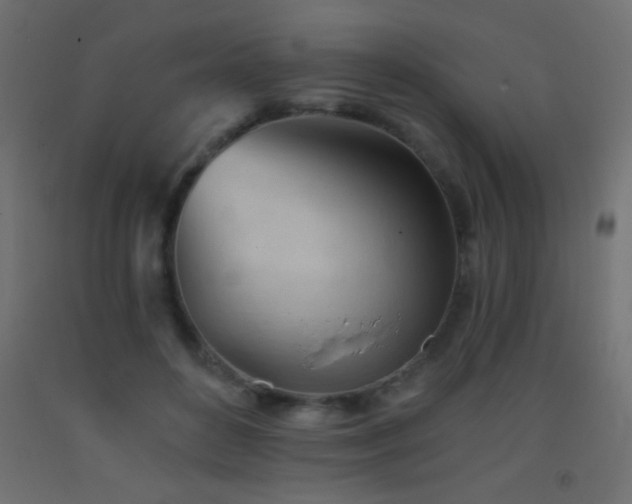 X0000093380504200710111458