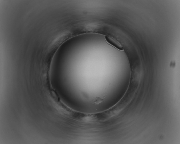 X0000093380505200710111458