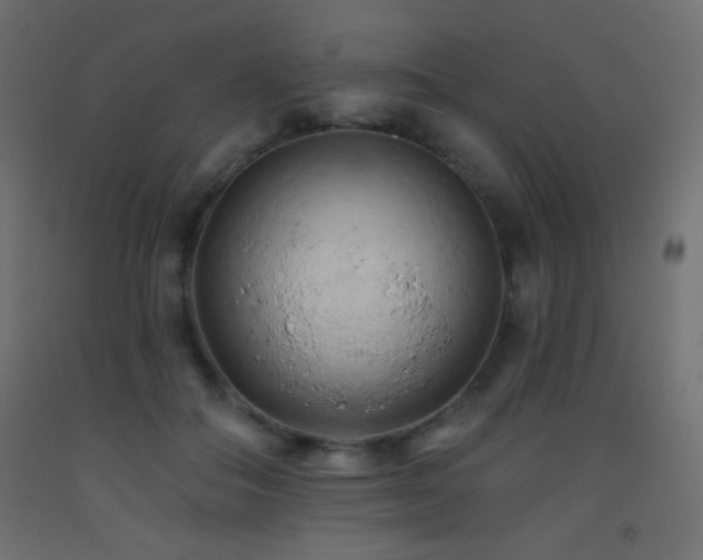 X0000093380506200710111458