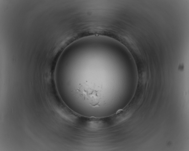 X0000093380508200710111458