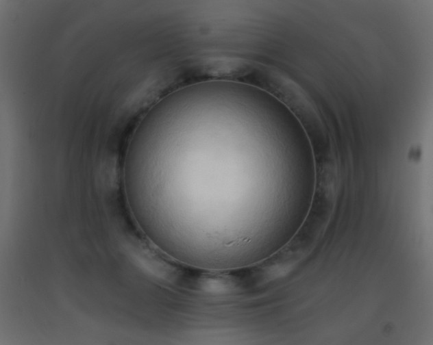 X0000093380510200710111458