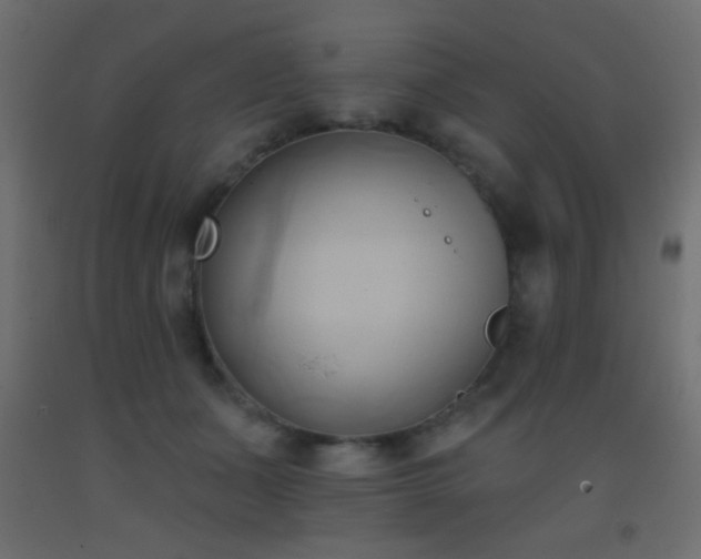 X0000093380511200710111458