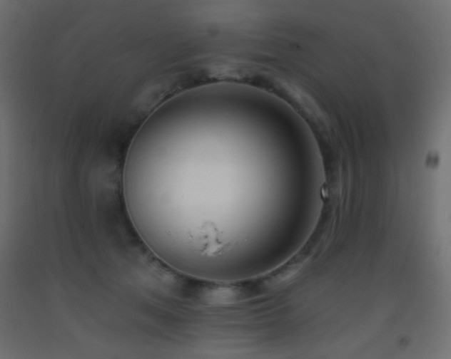 X0000093380513200710111458