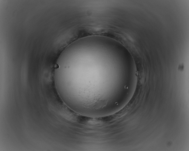 X0000093380515200710111458