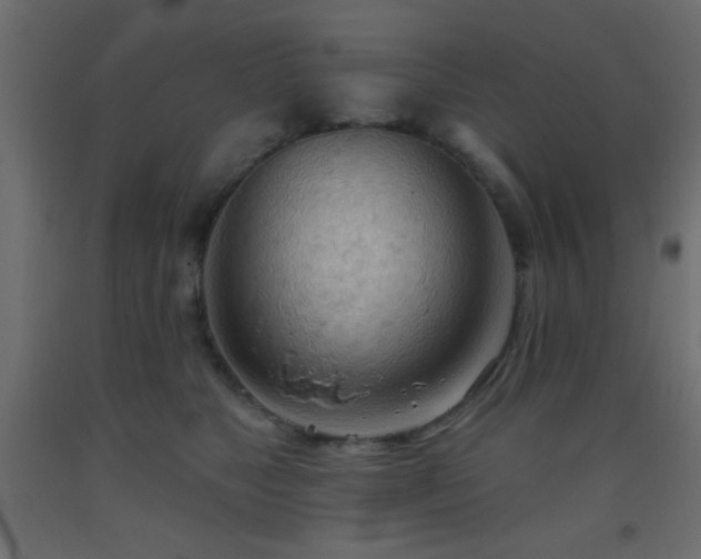 X0000093380517200710111458
