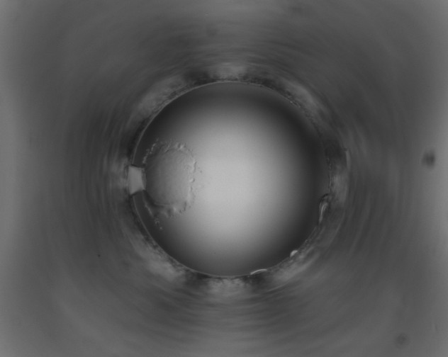 X0000093380525200710111458