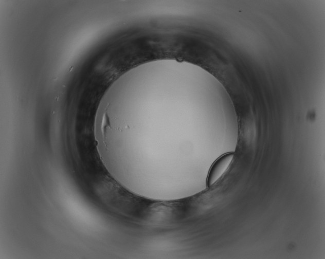 X0000093380526200710111458