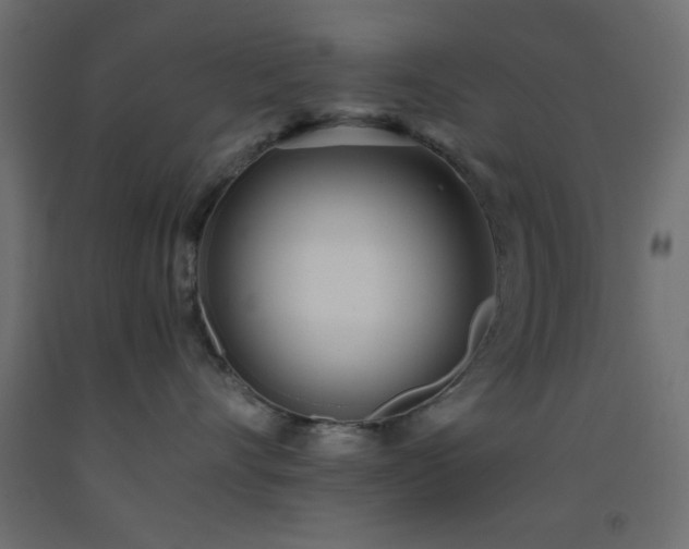 X0000093380528200710111458