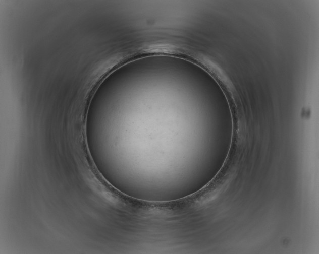 X0000093380529200710111457
