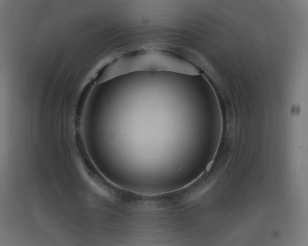 X0000093380530200710111457