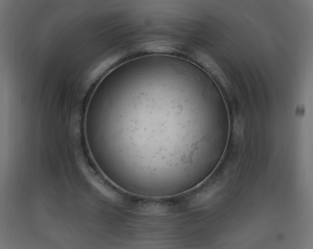 X0000093380533200710111457