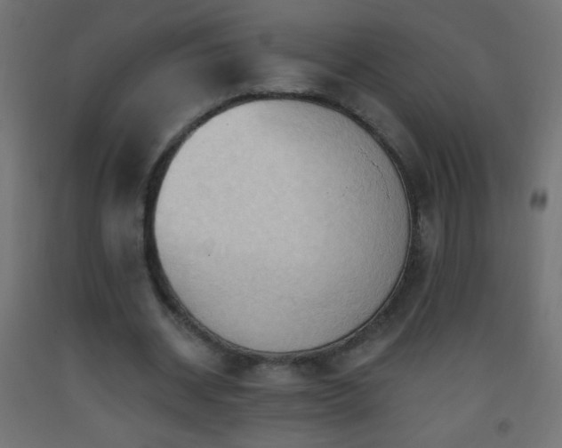 X0000093380534200710111457