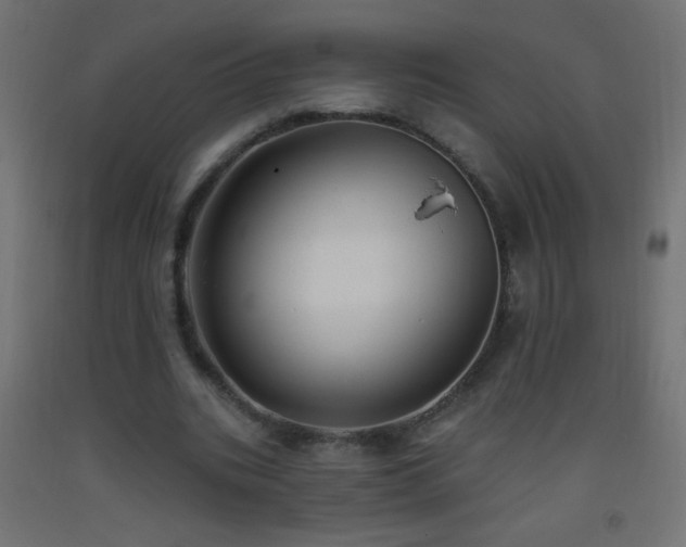 X0000093380535200710111457