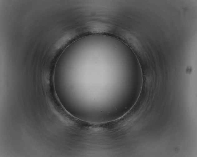 X0000093380539200710111457