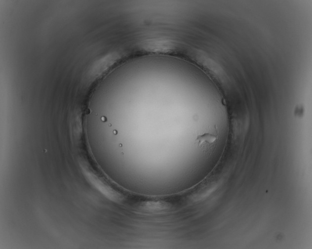 X0000093380541200710111457