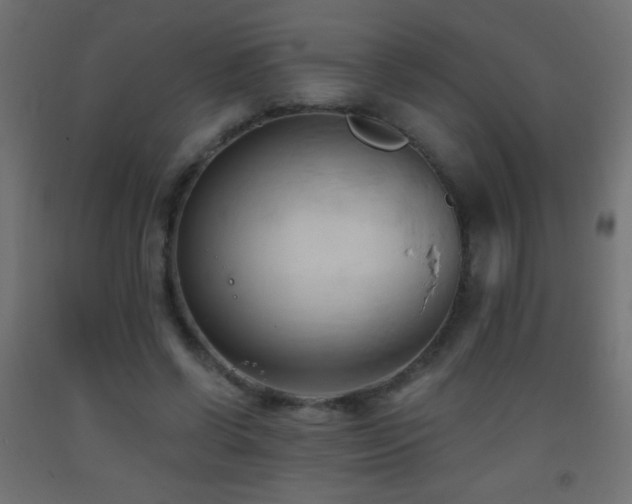 X0000093380542200710111457