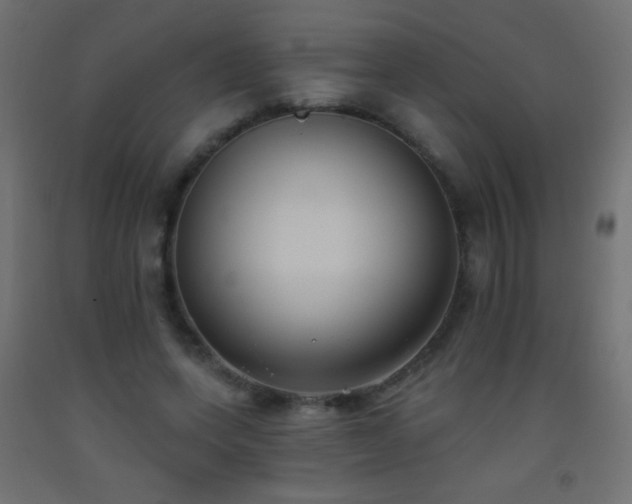 X0000093380543200710111457