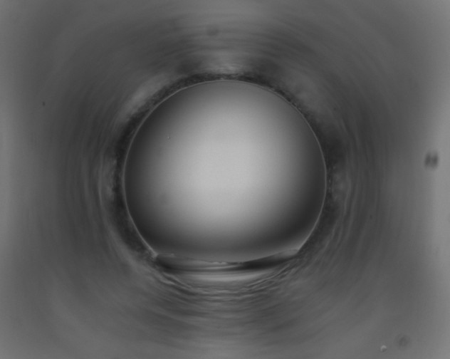X0000093380544200710111457