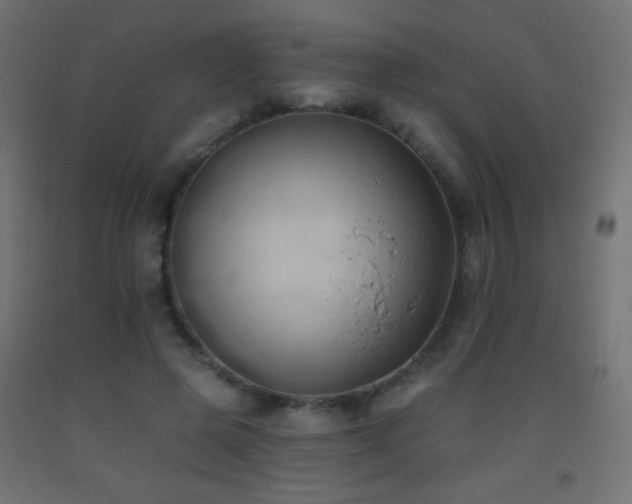 X0000093380545200710111457