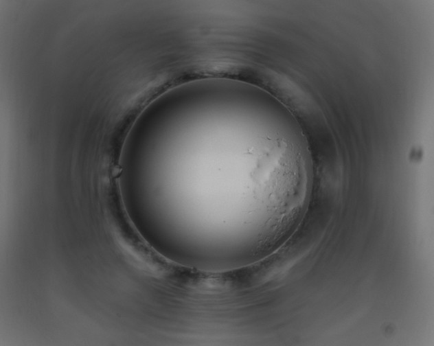 X0000093380546200710111457